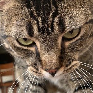 Meet your Posher, Jackie